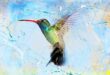 Esta es la leyenda maya del colibrí