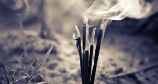 LA MAGIA DE LOS INCIENSOS Y EL SIGNIFICADO SEGÚN SU AROMA