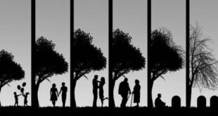 LOS SEPTENIOS: TU VIDA CAMBIA CADA 7 AÑOS