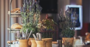 7 PLANTAS QUE AYUDAN A ALIVIAR EL ESTRÉS Y LA ANSIEDAD