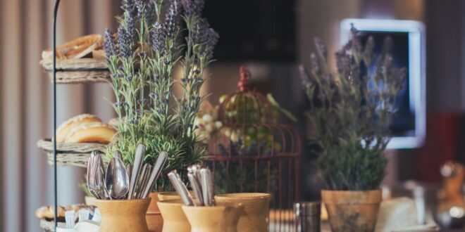 7 PLANTAS QUE AYUDAN A ALIVIAR EL ESTRÉS Y LA ANSIEDAD
