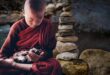 LEYENDA BUDISTA: LOS GATOS SON SÍMBOLOS DE ESPIRITUALIDAD E ILUMINACIÓN
