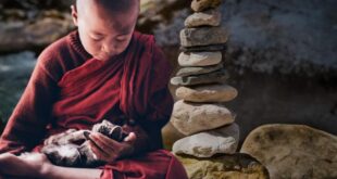 LEYENDA BUDISTA: LOS GATOS SON SÍMBOLOS DE ESPIRITUALIDAD E ILUMINACIÓN
