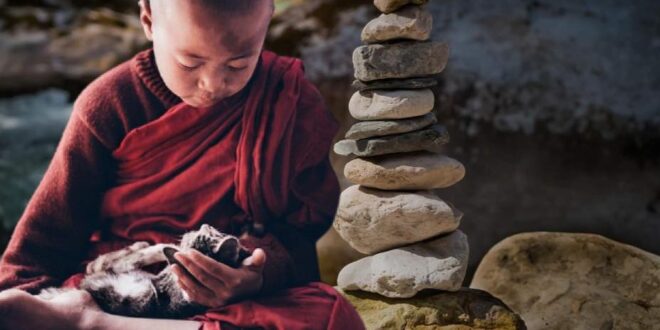 LEYENDA BUDISTA: LOS GATOS SON SÍMBOLOS DE ESPIRITUALIDAD E ILUMINACIÓN
