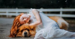TENER UNA MASCOTA ES UNA GRAN RESPONSABILIDAD