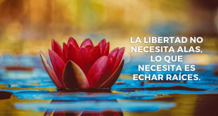 10 FRASES EN IMÁGENES PARA MOTIVARTE Y REFLEXIONAR