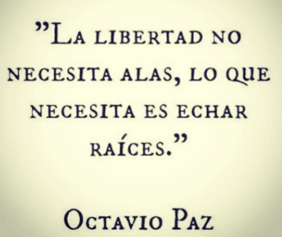 10 FRASES EN IMÁGENES PARA MOTIVARTE Y REFLEXIONAR