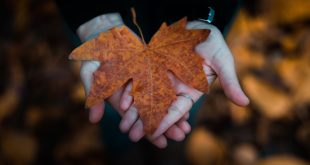 RUMI: NACISTE CON GRANDEZA