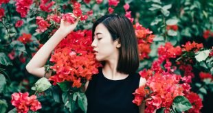 KOI NO YOKAN: LA PREMONICIÓN DEL AMOR