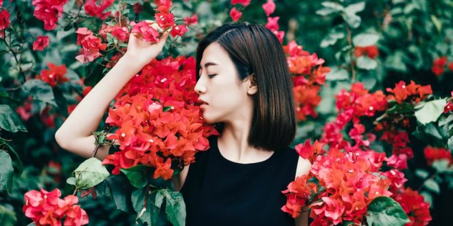 KOI NO YOKAN: LA PREMONICIÓN DEL AMOR
