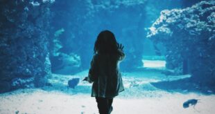 CRIANDO HIJOS EMOCIONALMENTE RESILIENTES