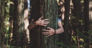 EL PODER SANADOR DE LA NATURALEZA