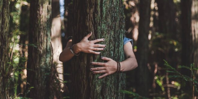 EL PODER SANADOR DE LA NATURALEZA