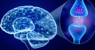 SEÑALES DE NIVELES BAJOS DE SEROTONINA