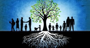 LAS ALMAS QUE SANAN EL ÁRBOL GENEALÓGICO FAMILIAR