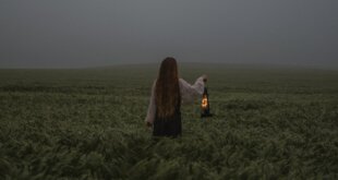 ¿QUÉ ES UNA CRISIS DE SANACIÓN?