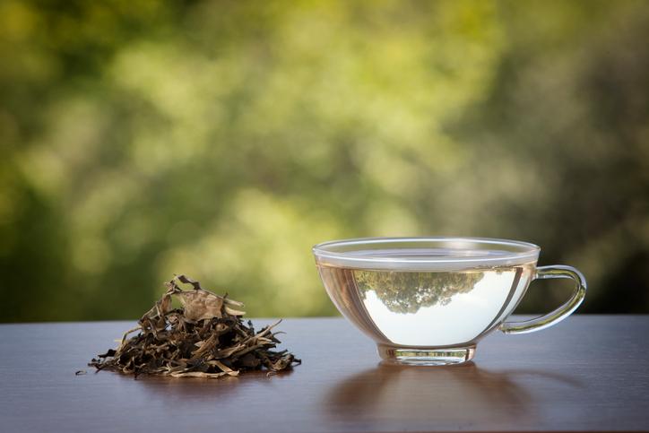 MÚLTIPLES BENEFICIOS DEL TÉ PARA TU SALUD