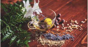 MÚLTIPLES BENEFICIOS DEL TÉ PARA TU SALUD
