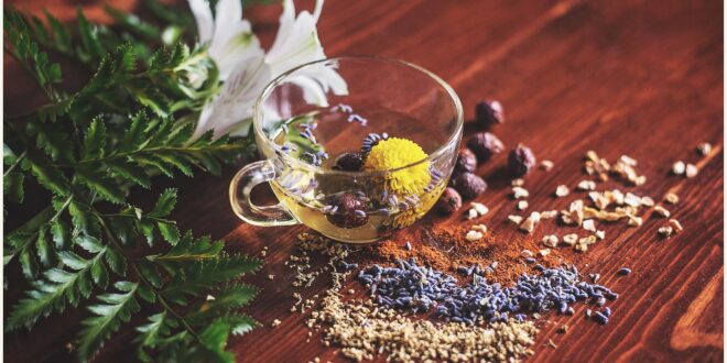 MÚLTIPLES BENEFICIOS DEL TÉ PARA TU SALUD
