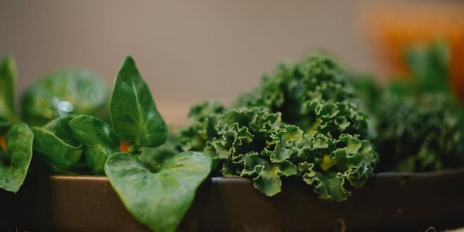 VERDURAS VERDES PARA CONTROLAR EL COLESTEROL