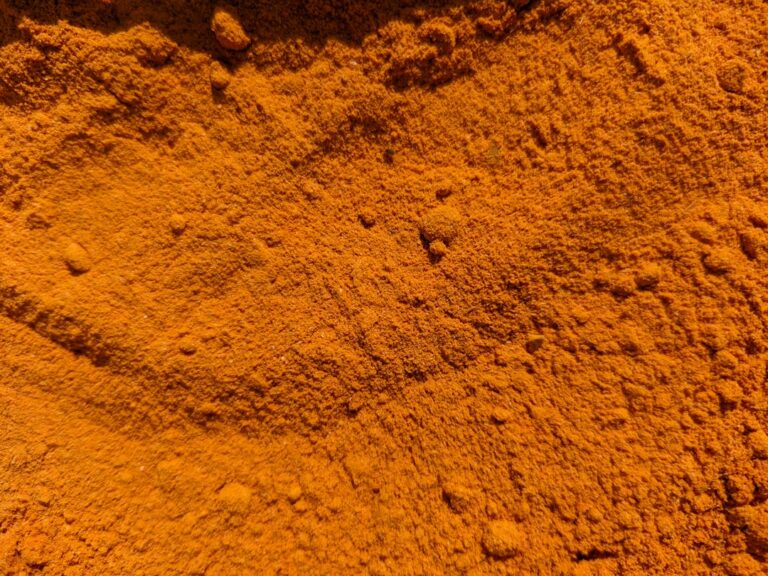 Cúrcuma en polvo utilizada como especia en la alimentación